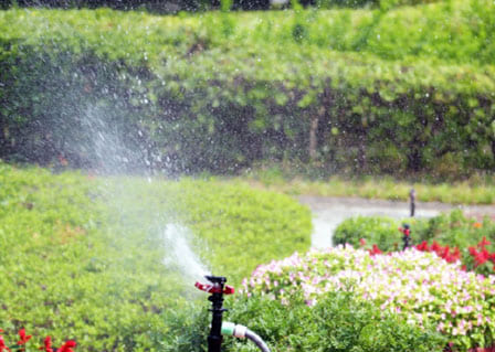 緑地への散水・灌水用水